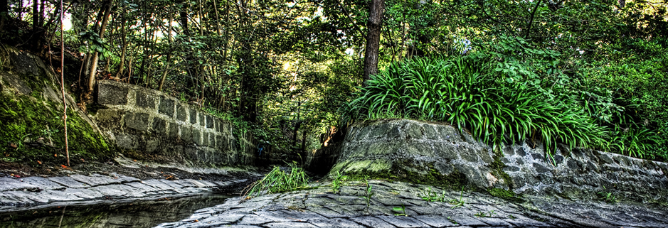 批量发送短信的平台